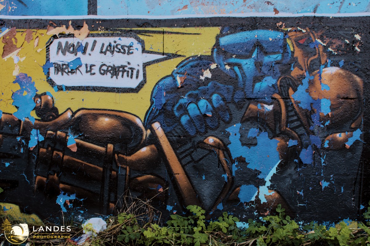 🎨 Graff à Bordeaux : mémoire photographique du street art bordelais 📸