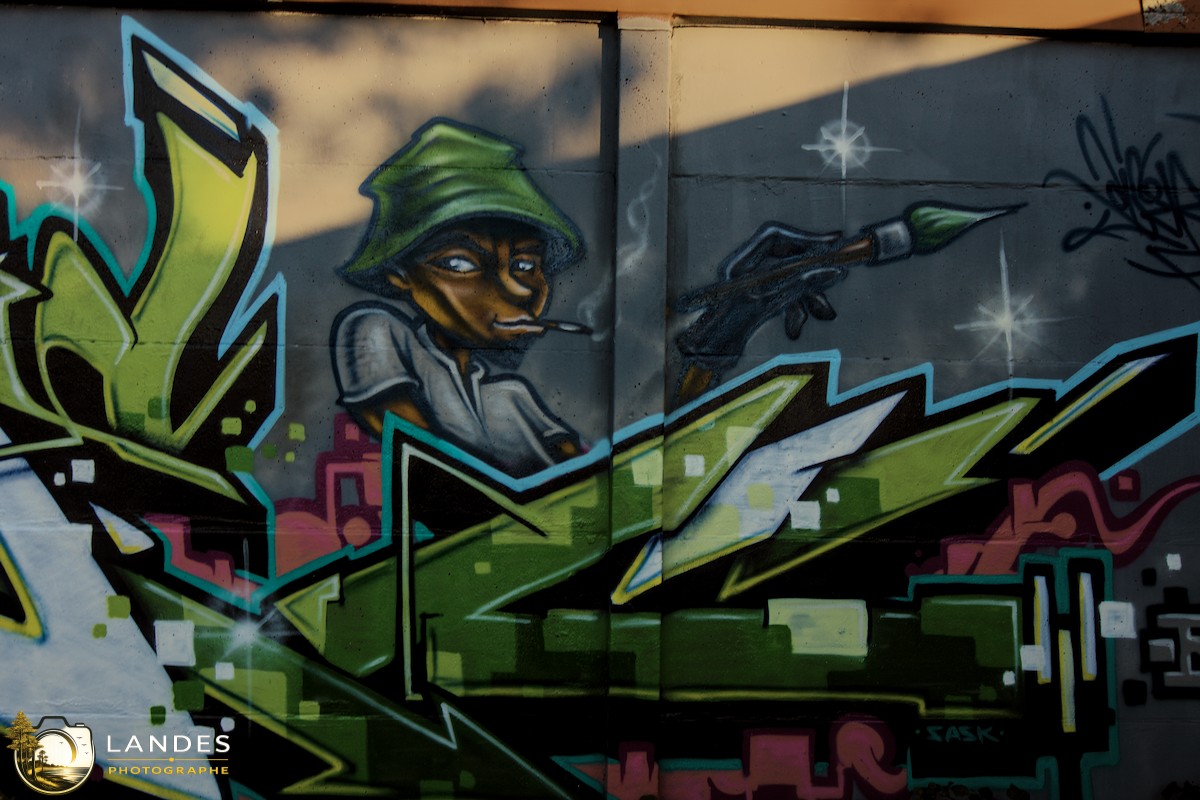 🎨 Graff à Bordeaux : mémoire photographique du street art bordelais 📸
