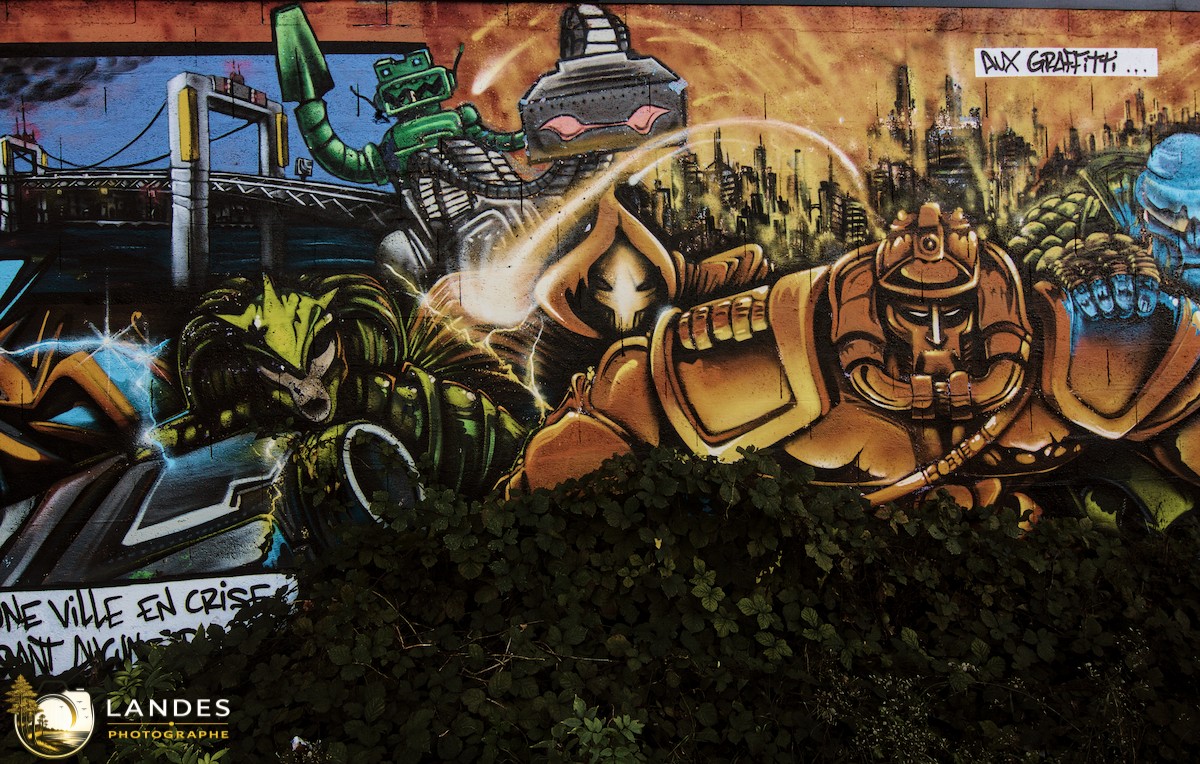 🎨 Graff à Bordeaux : mémoire photographique du street art bordelais 📸