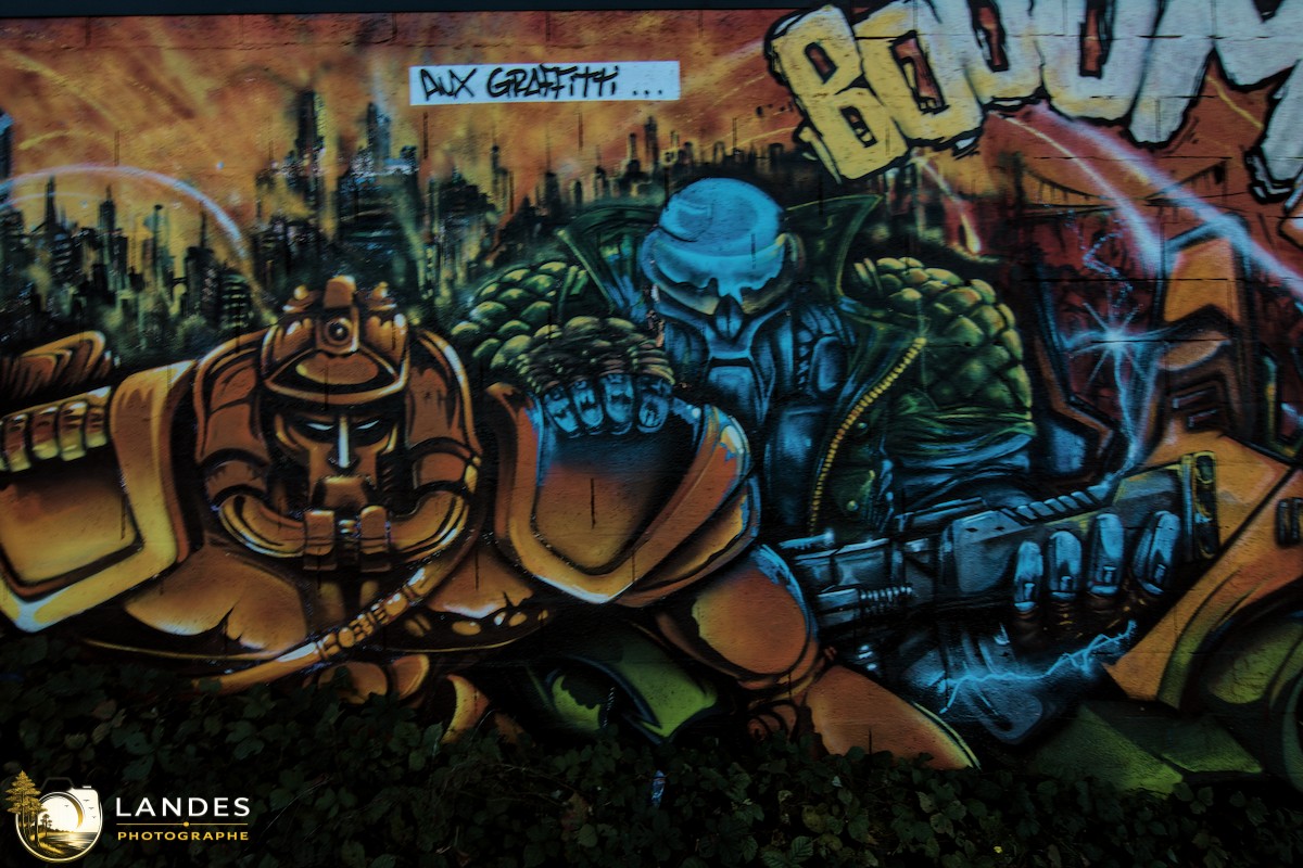 🎨 Graff à Bordeaux : mémoire photographique du street art bordelais 📸
