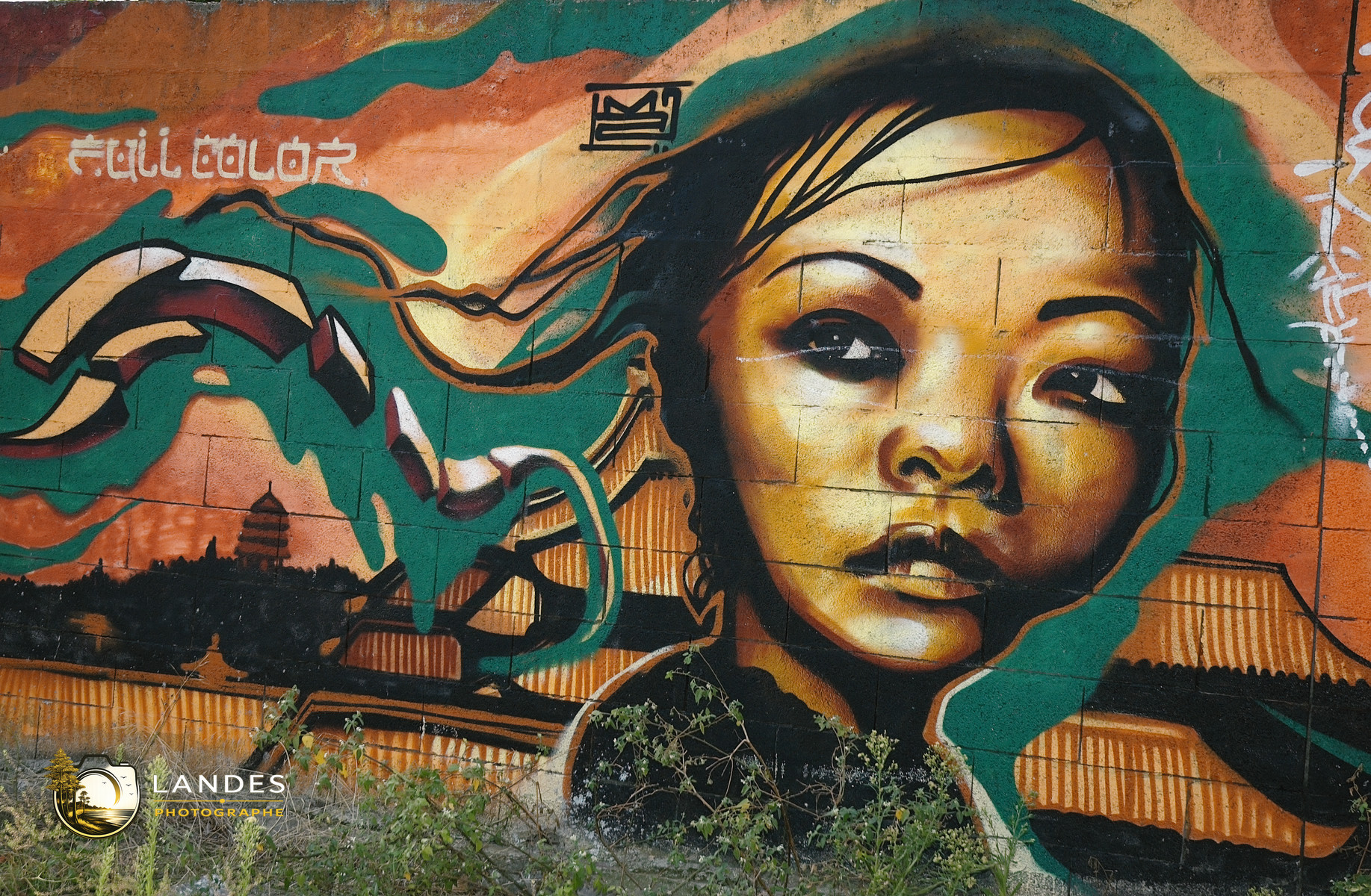 🎨 Graff à Bordeaux : mémoire photographique du street art bordelais 📸