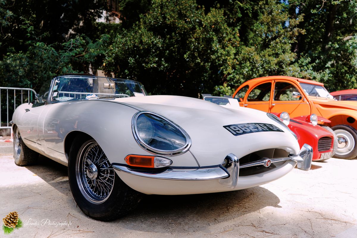🚗 Rétro et Brillant : Les 7èmes Chromes d'Hossegor