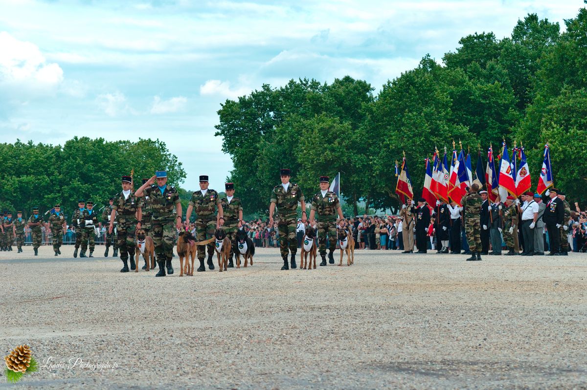🇫🇷 Solennité Républicaine : Reportage de la Cérémonie du 14 Juillet à Bordeaux