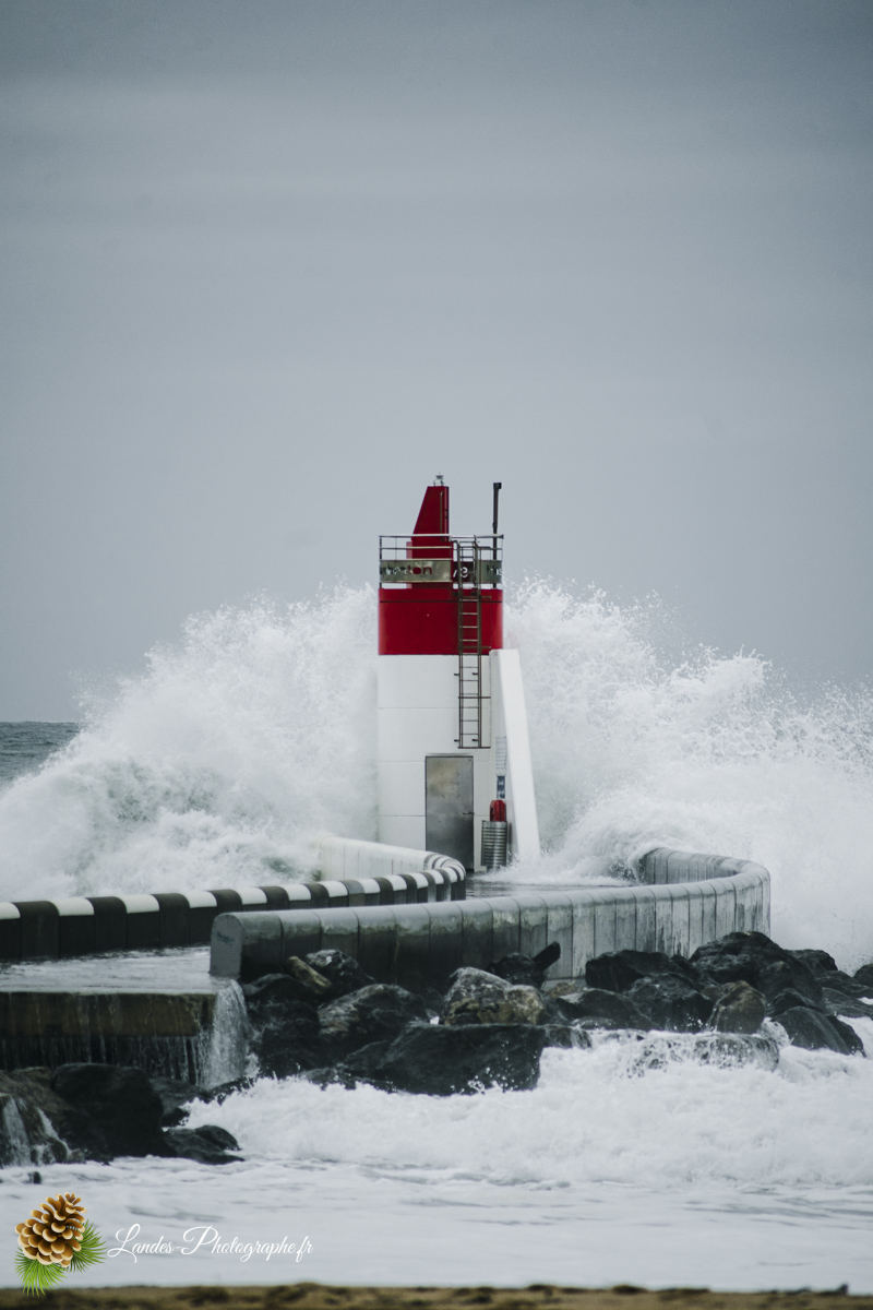Photographie — Landes Photographe