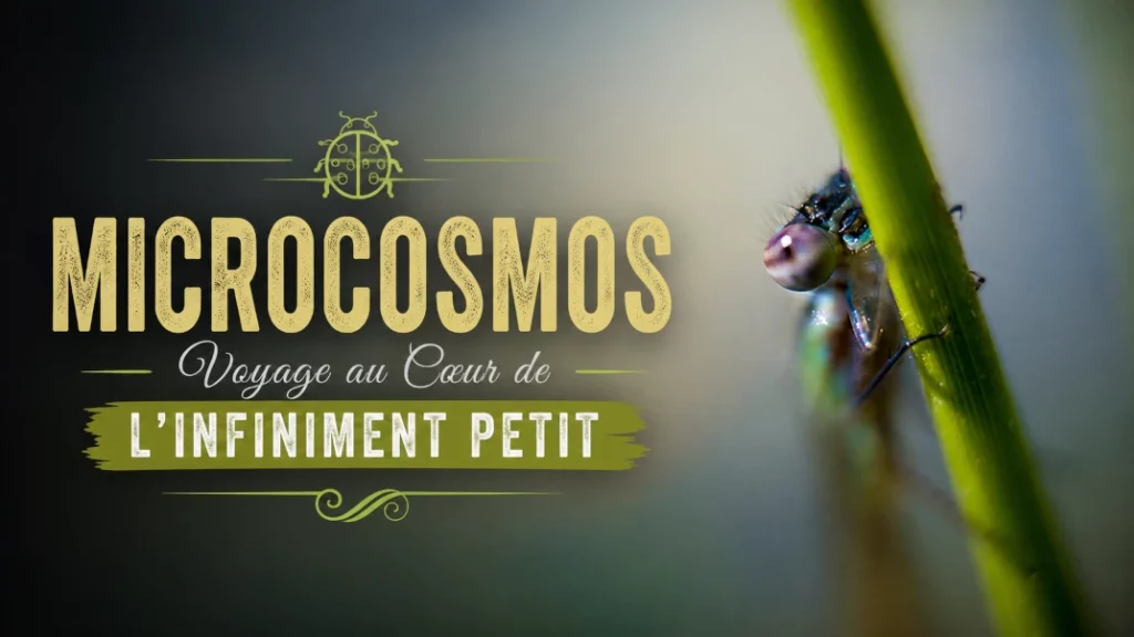 🐞 Microcosmos : Voyage au Cœur de l’Infiniment Petit