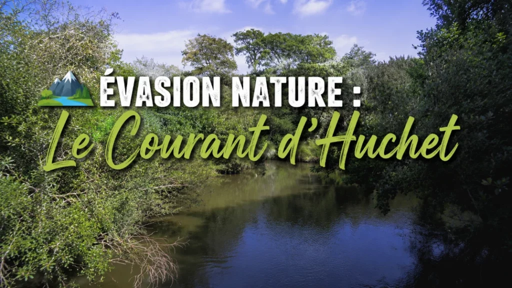 🏞️ Évasion Nature : Le Courant d&rsquo;Huchet