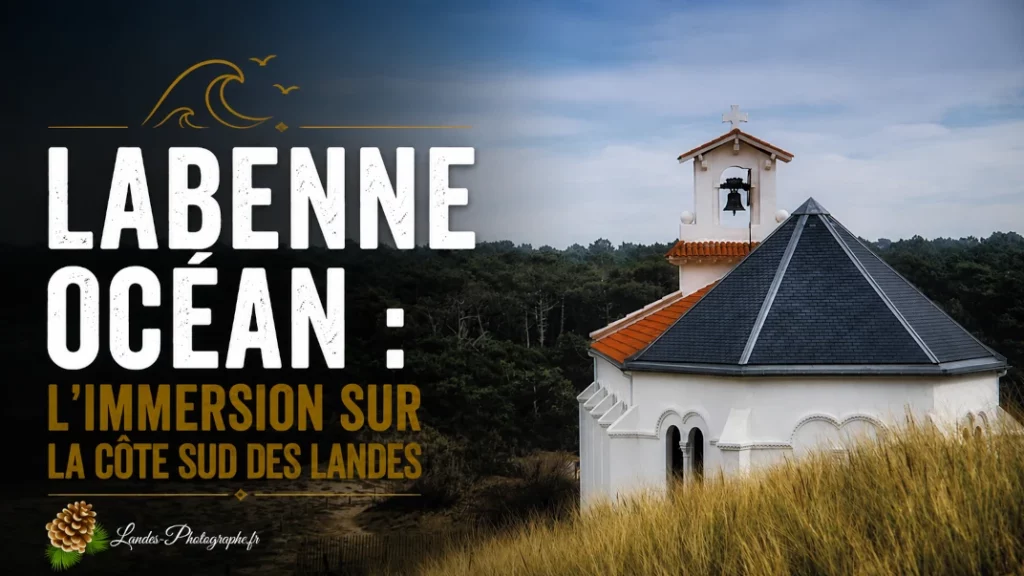 🌊 Labenne Océan : L&rsquo;Immersion sur la Côte Sud des Landes