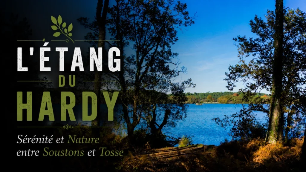 🌿 L&rsquo;Étang du Hardy : Sérénité et Nature entre Soustons et Tosse