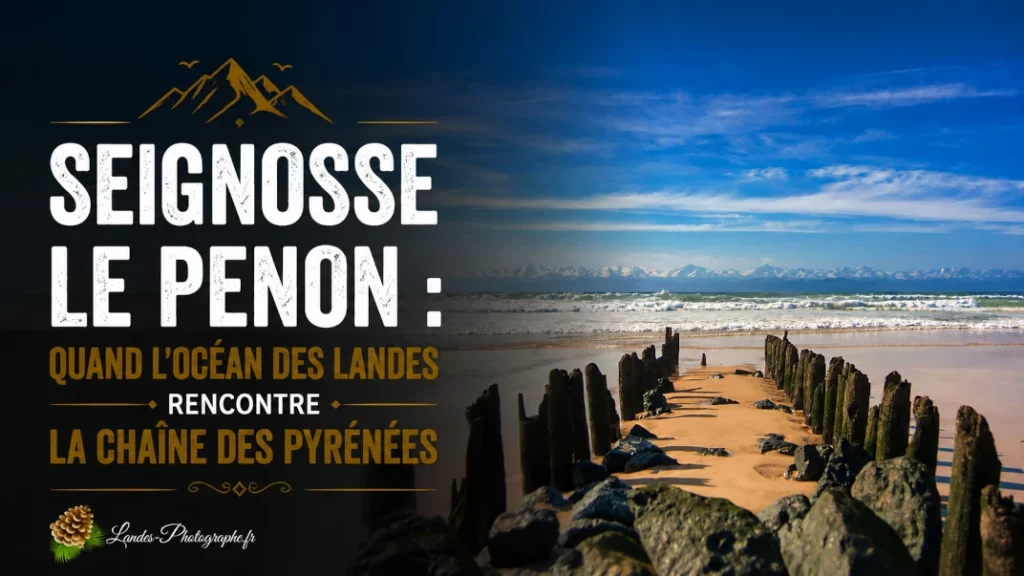 🏔️ Seignosse Le Penon : Quand l&rsquo;Océan des Landes rencontre la Chaîne des Pyrénées