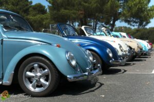 34ème Cox Troc des Landes