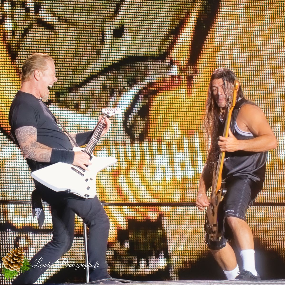 Metallica live au Sonisphere Festival 2011