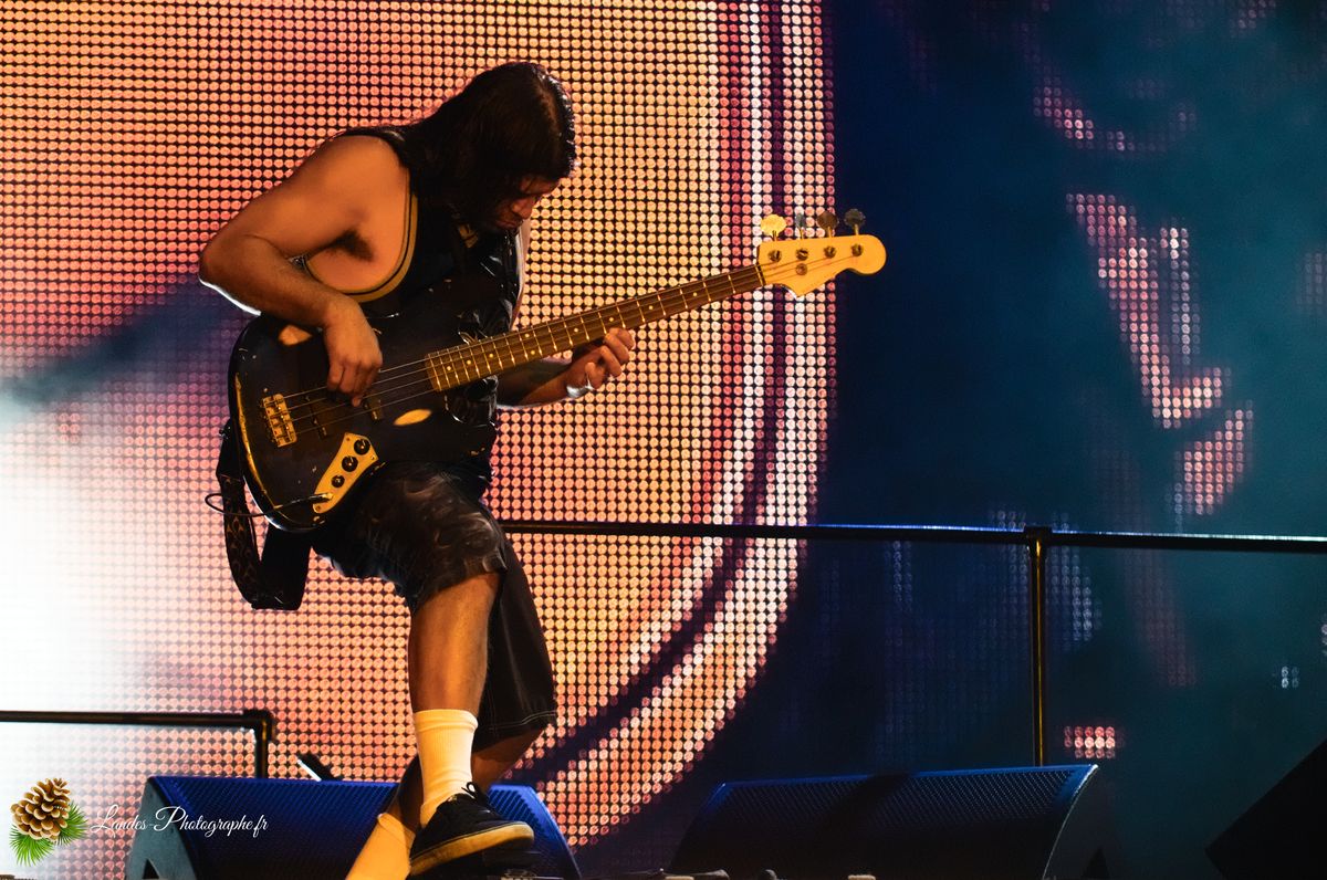 Metallica live au Sonisphere Festival 2011