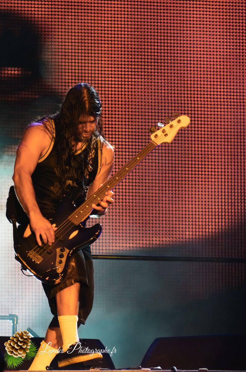 Metallica live au Sonisphere Festival 2011