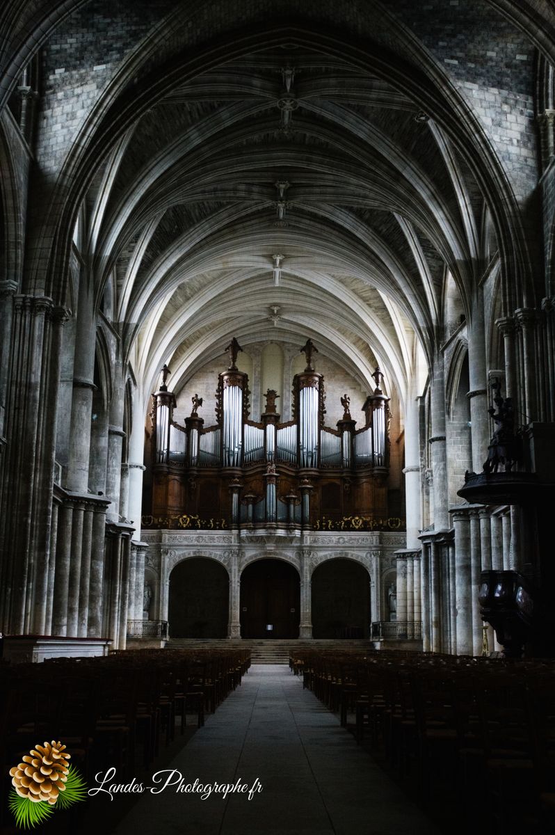 Cathédrale Saint-André de Bordeaux