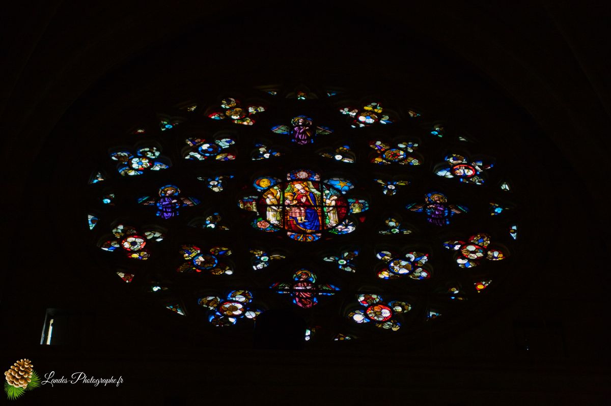 Cathédrale Saint-André de Bordeaux