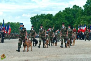 Cérémonie du 14 Juillet à Bordeaux