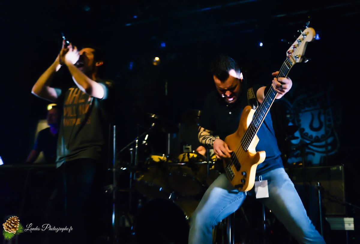 E-Breed en concert au Big Fuzz de Jonzac 2012
