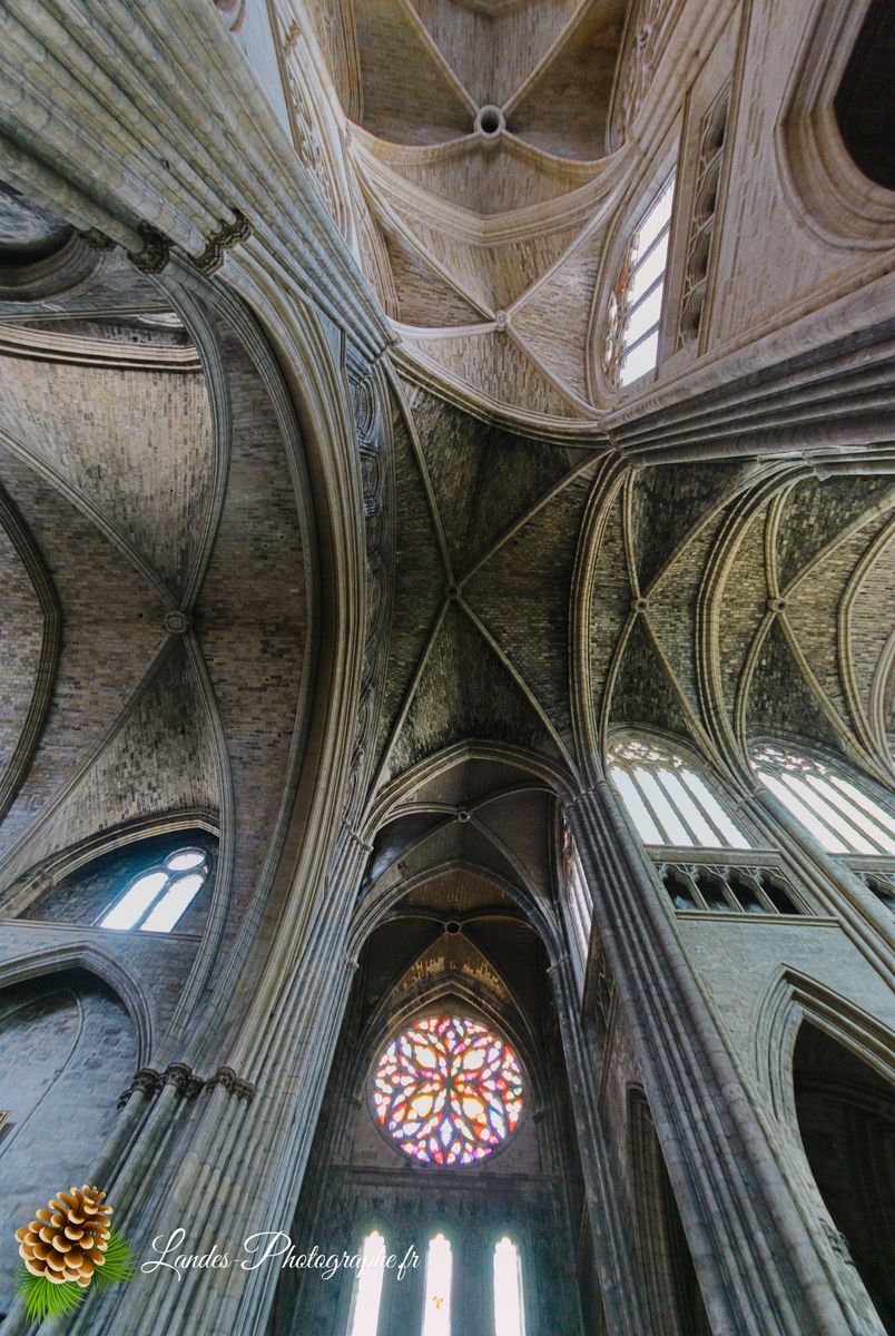 Cathédrale Saint-André de Bordeaux
