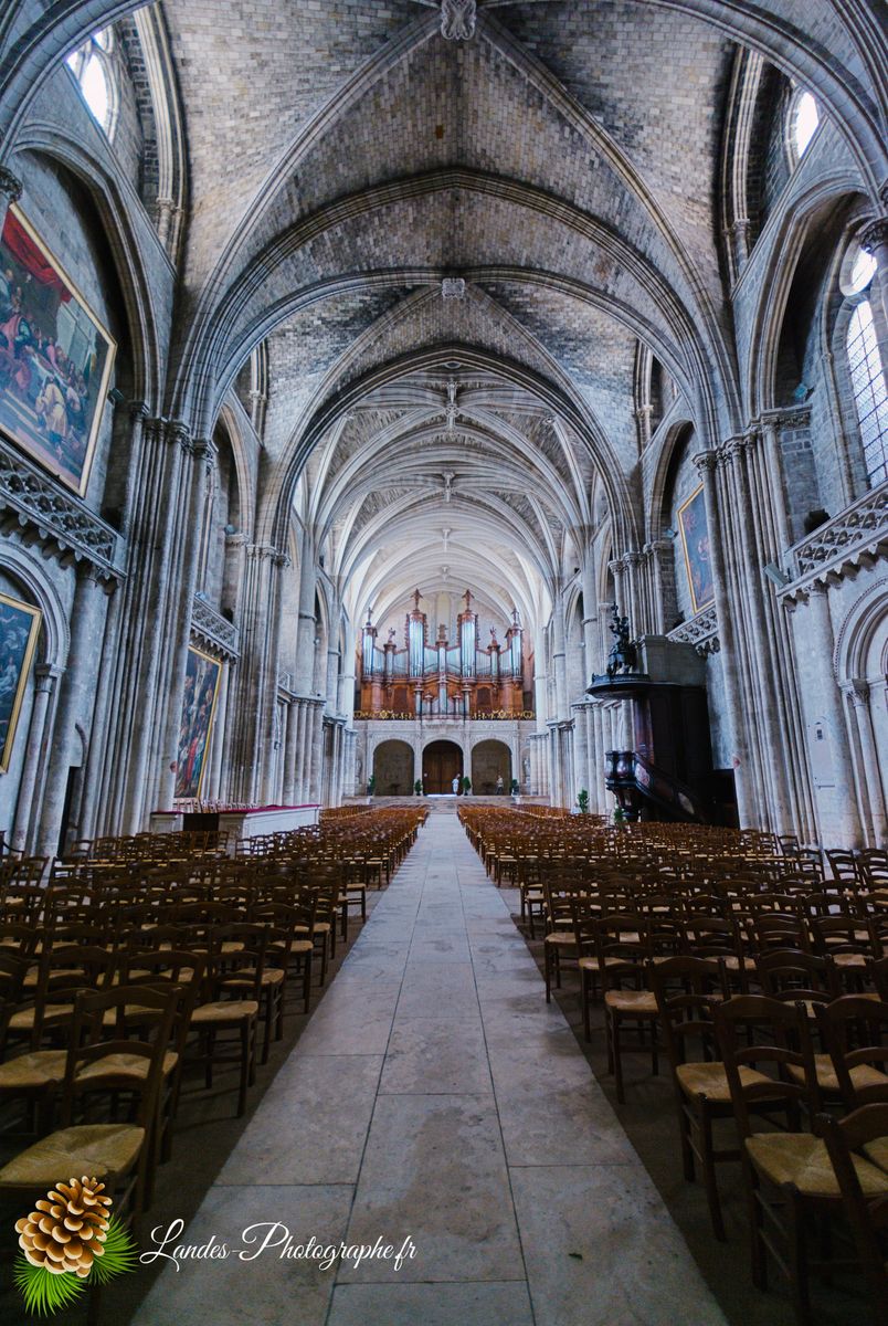 Cathédrale Saint-André de Bordeaux