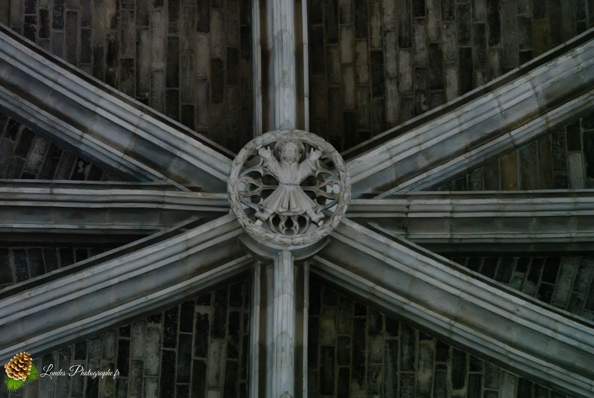 Cathédrale Saint-André de Bordeaux