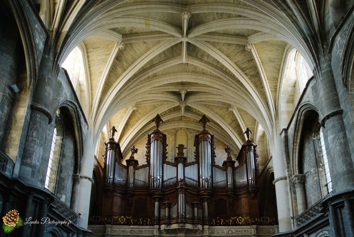 Cathédrale Saint-André de Bordeaux