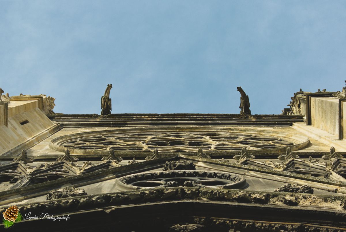 Cathédrale Saint-André de Bordeaux