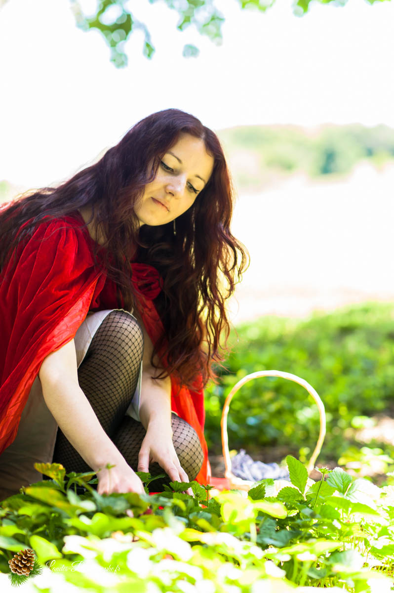Le Petit Chaperon Rouge