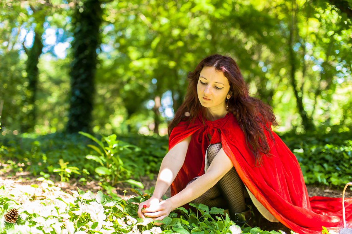 Le Petit Chaperon Rouge