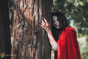 Le Petit Chaperon Rouge