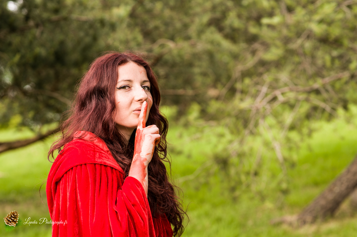 Le Petit Chaperon Rouge