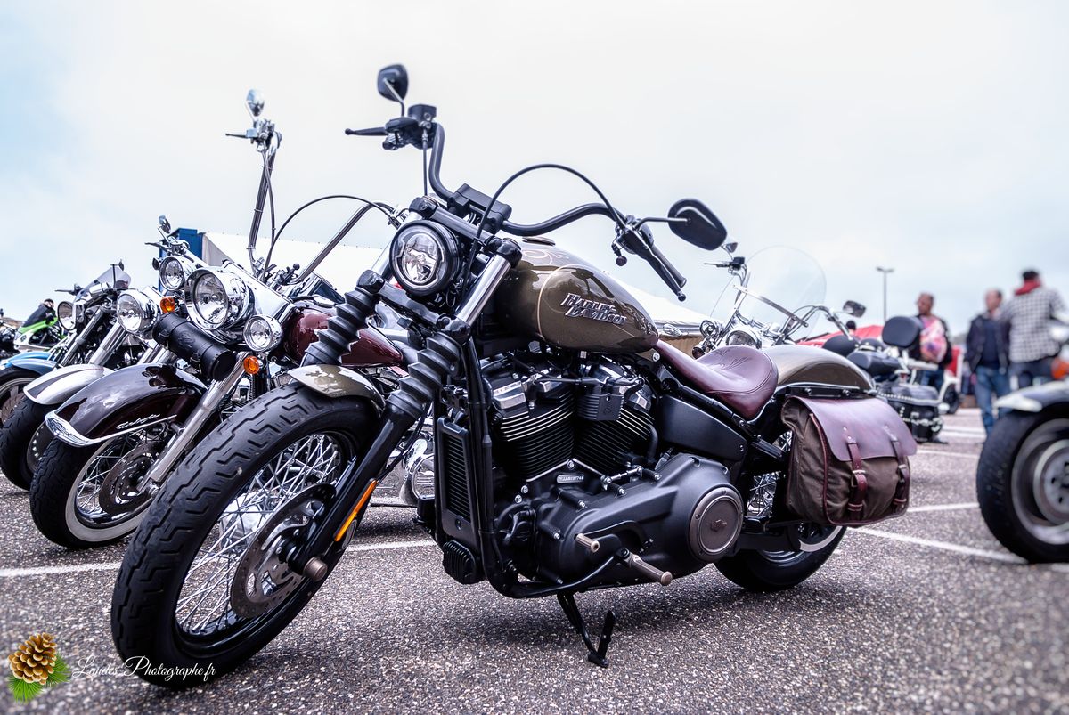 7ème édition de l’American Crazy Week à Seignosse-le-Penon