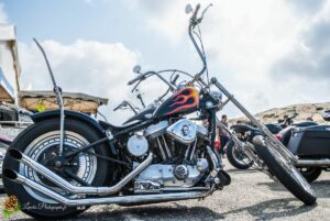 7ème édition de l’American Crazy Week à Seignosse-le-Penon