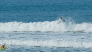 Surf à Biarritz