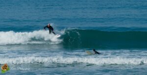 Surf à Biarritz