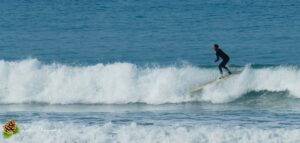 Surf à Biarritz