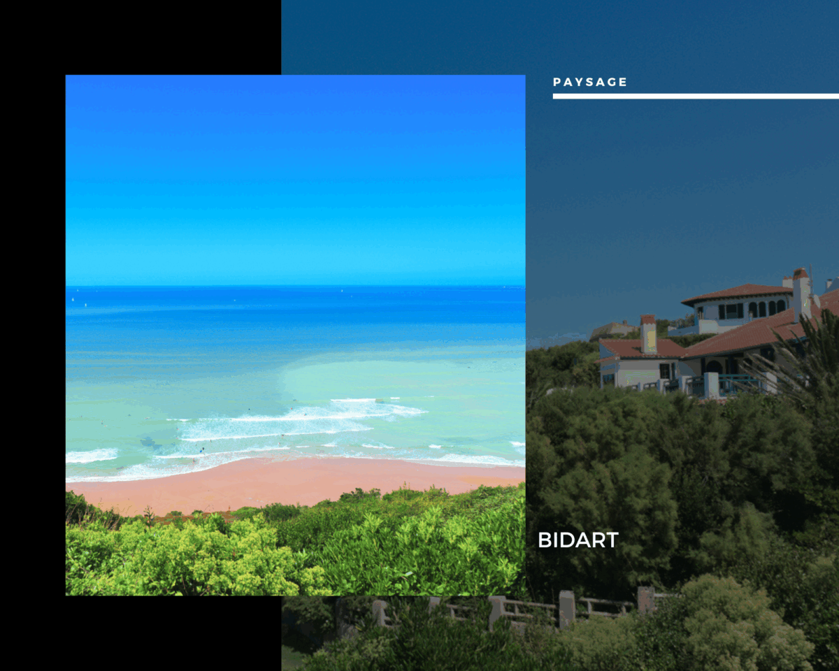 Bidart