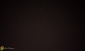 Astrophotographie dans le sud des Landes