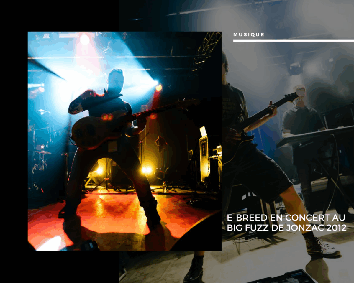 E-Breed en concert au Big Fuzz de Jonzac 2012