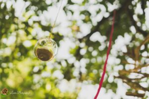 Mariage entre Capbreton et Le Chai de Montaulieu