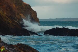 Trez Rouz après la tempête