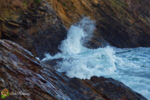 Trez Rouz après la tempête