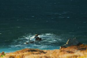 Trez Rouz après la tempête