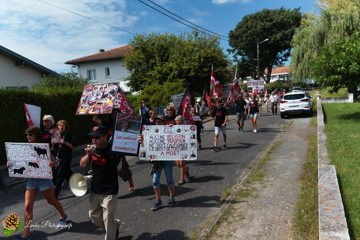 Manifestation pour l’abolition de la corrida à Saint-Vincent-de-Tyrosse