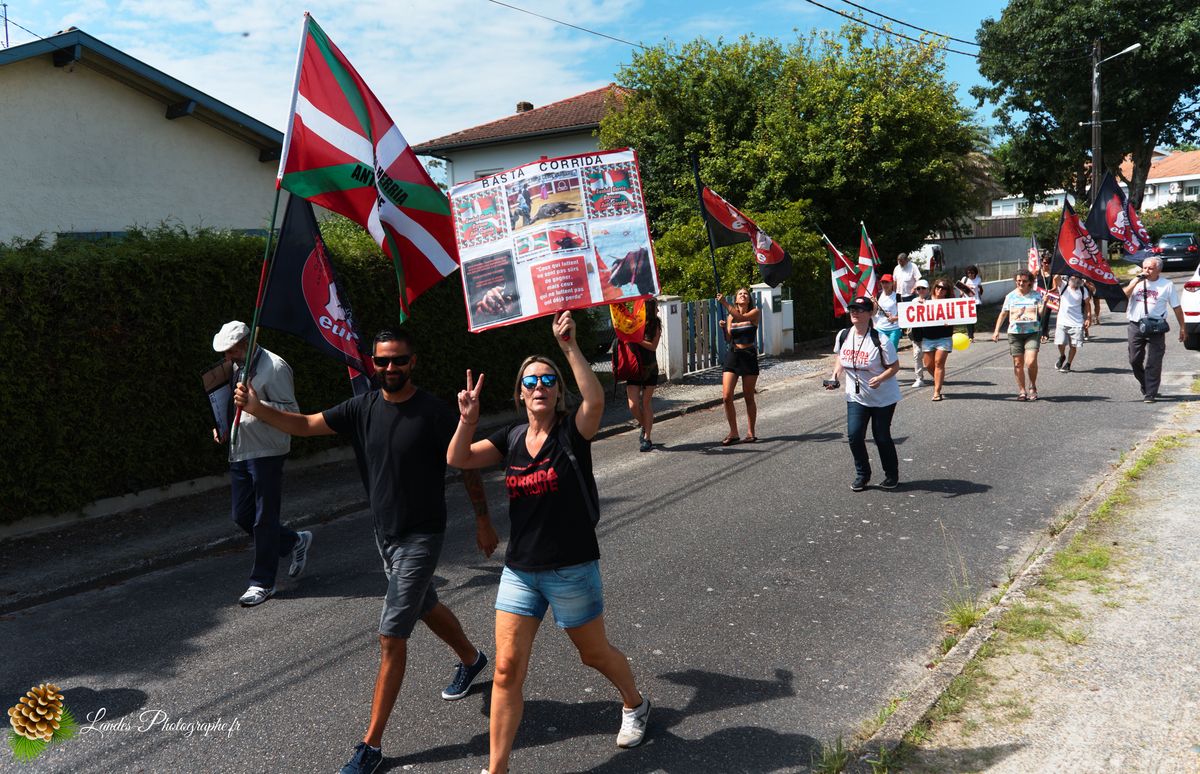 Manifestation pour l’abolition de la corrida à Saint-Vincent-de-Tyrosse