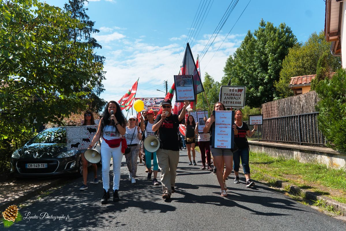 Manifestation pour l’abolition de la corrida à Saint-Vincent-de-Tyrosse