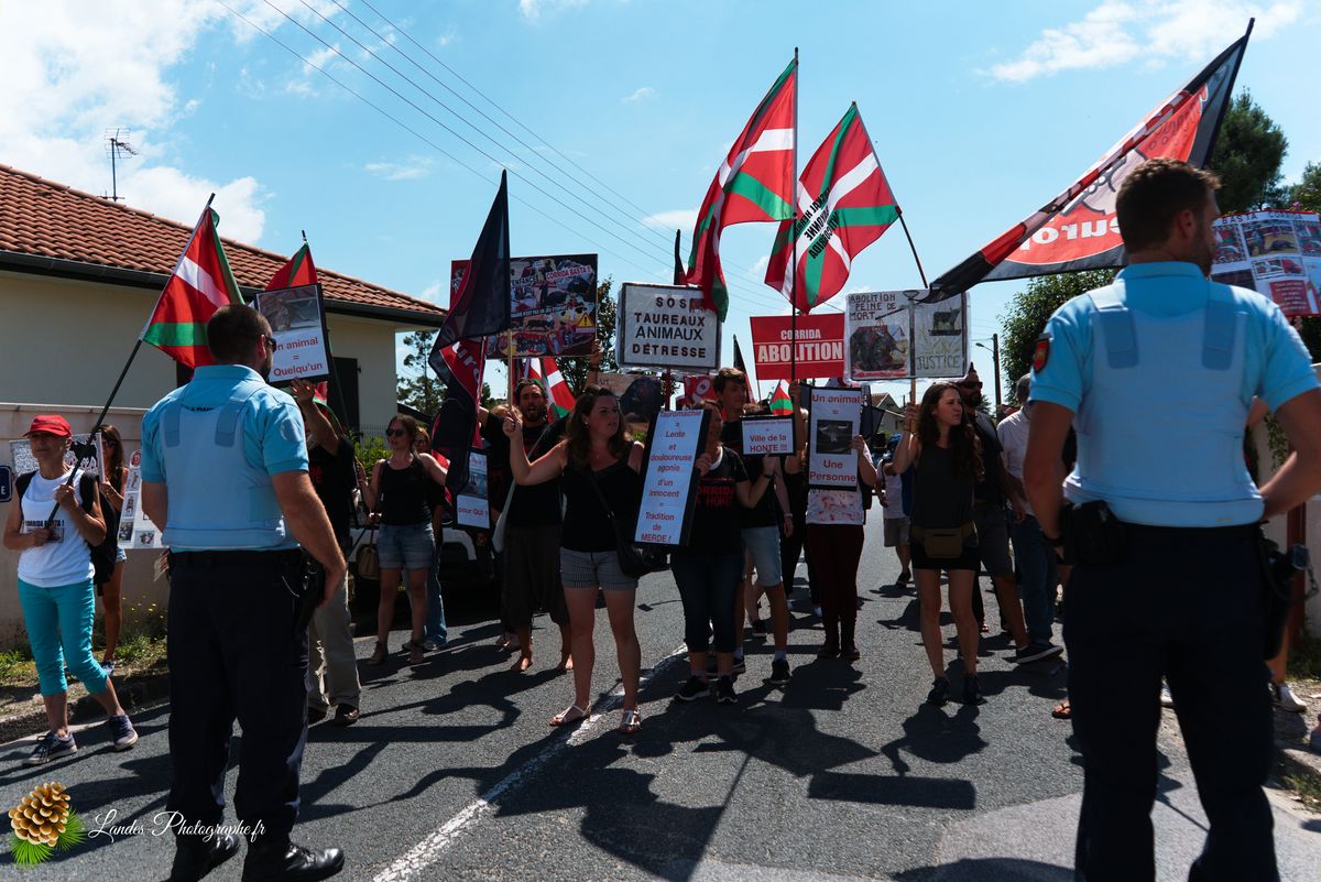 Manifestation pour l’abolition de la corrida à Saint-Vincent-de-Tyrosse