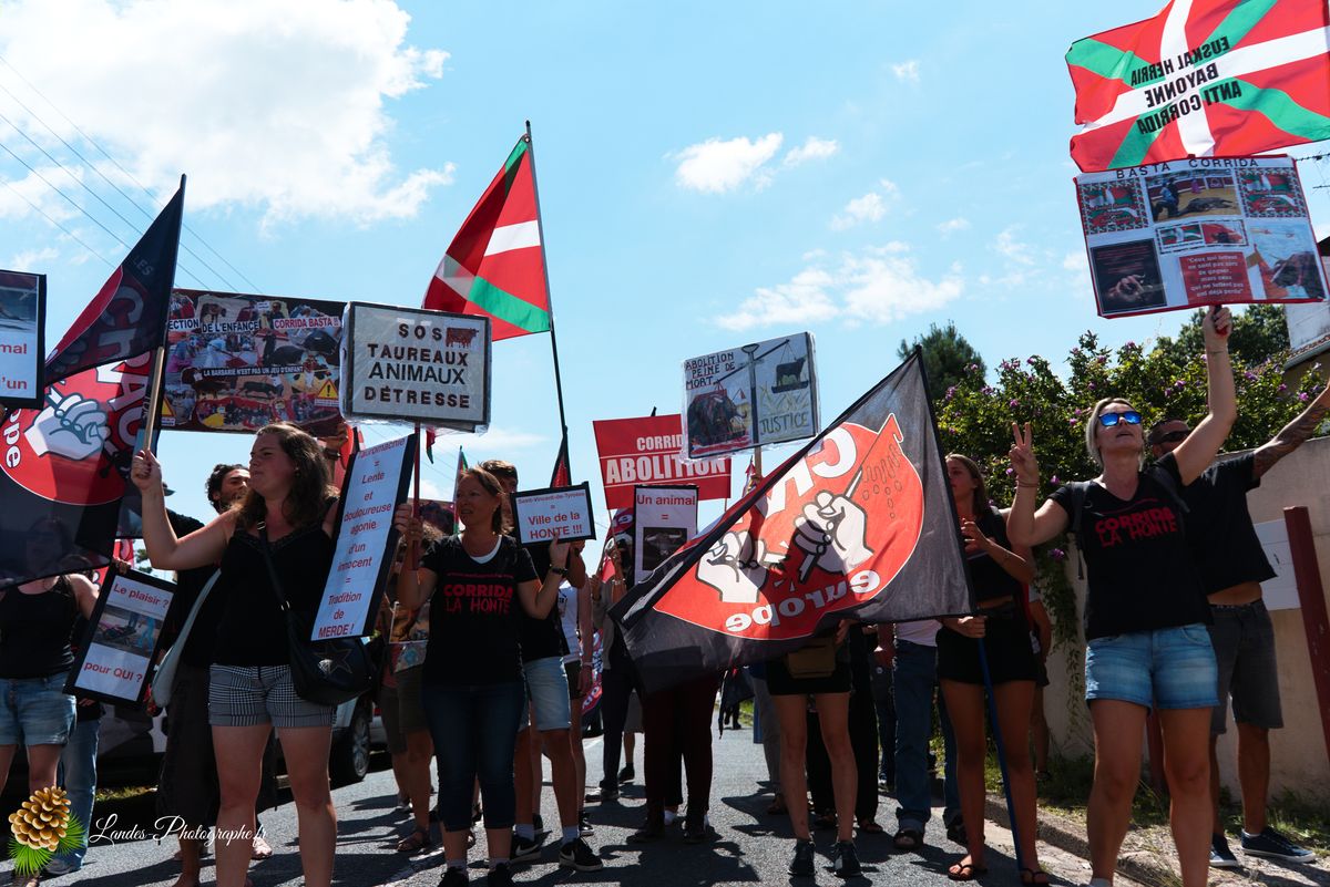 Manifestation pour l’abolition de la corrida à Saint-Vincent-de-Tyrosse