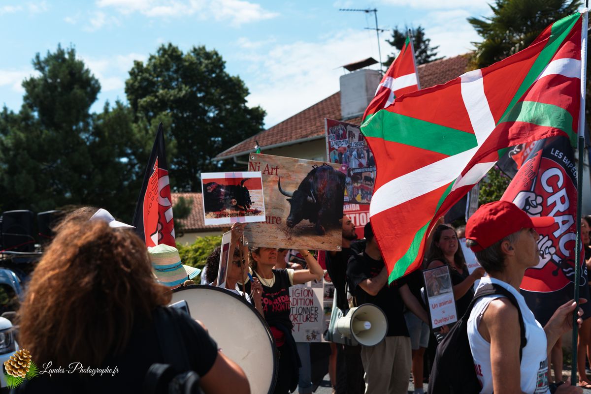 Manifestation pour l’abolition de la corrida à Saint-Vincent-de-Tyrosse