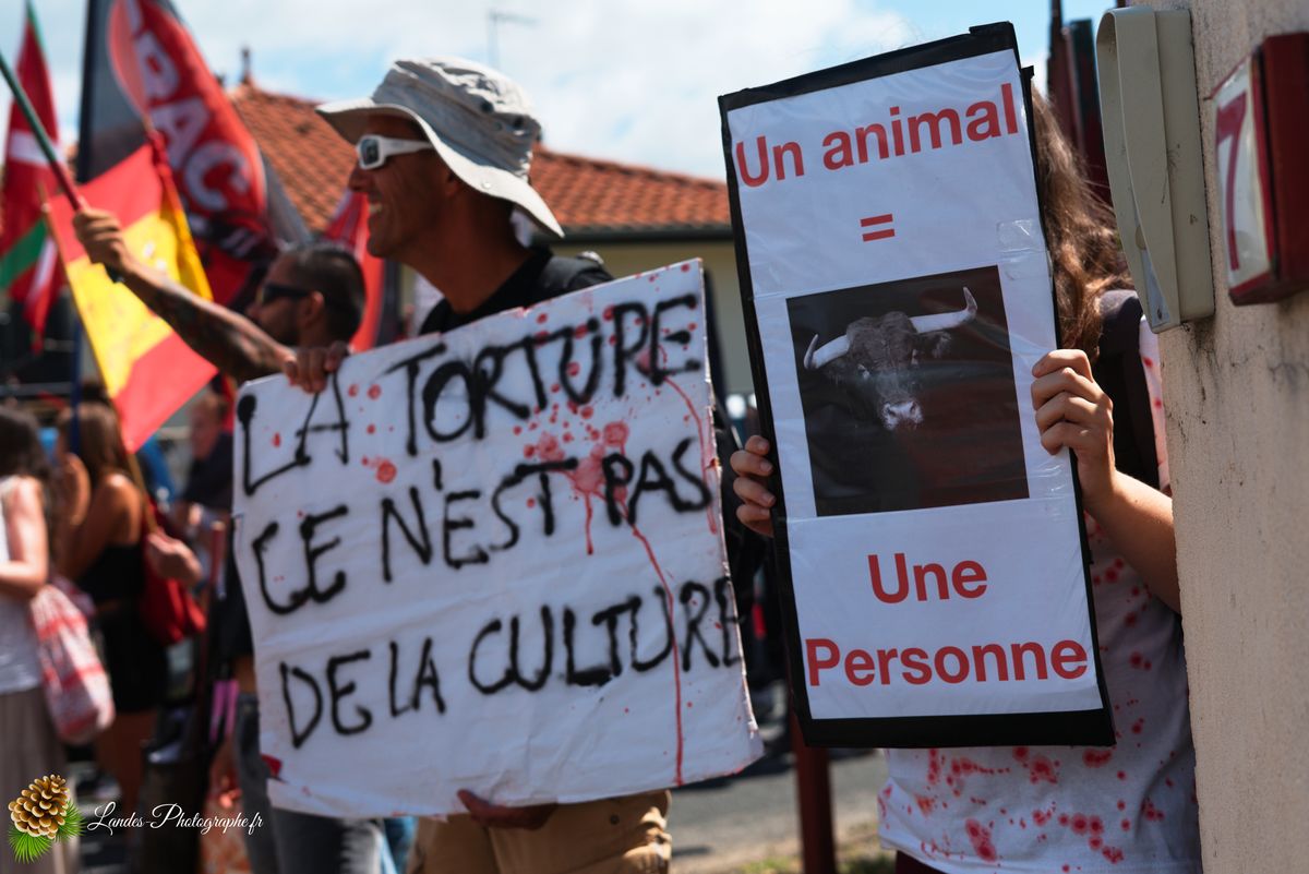 Manifestation pour l’abolition de la corrida à Saint-Vincent-de-Tyrosse