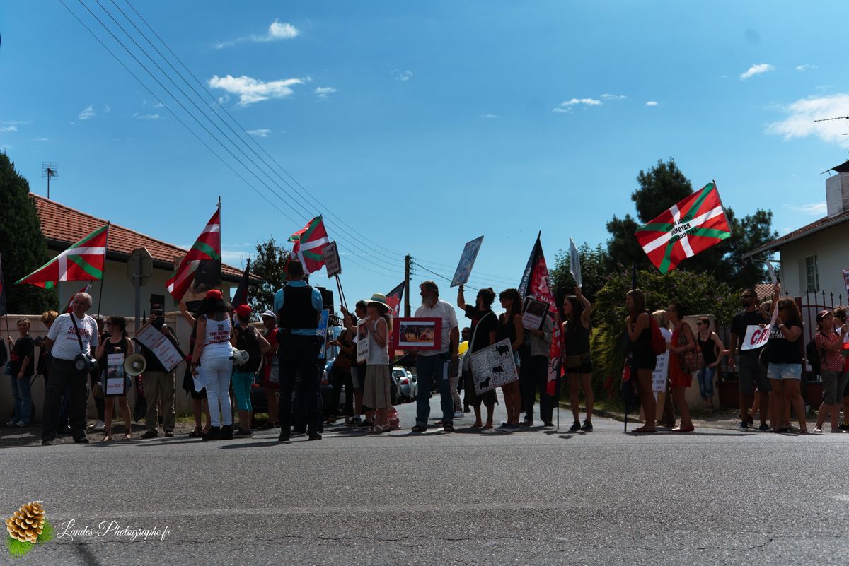 Manifestation pour l’abolition de la corrida à Saint-Vincent-de-Tyrosse
